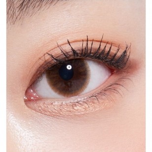 Lens-Town Precollege Brown(月拋)